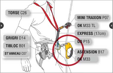 Petzl Ascenders