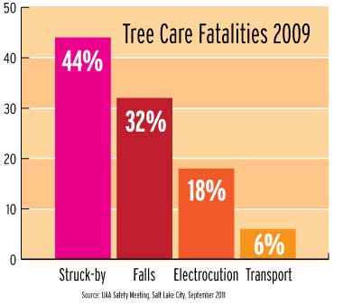 Tree work fatalities