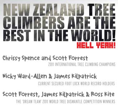 NZ Tree Climbers are the best in the World