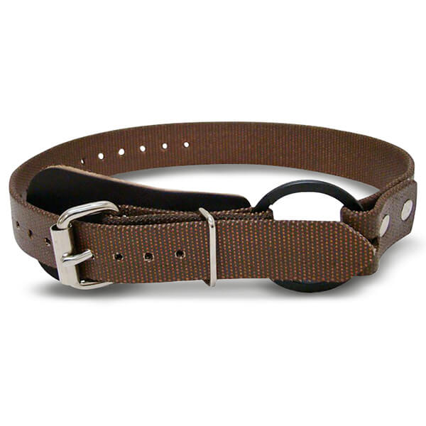 Buckingham Foot Straps