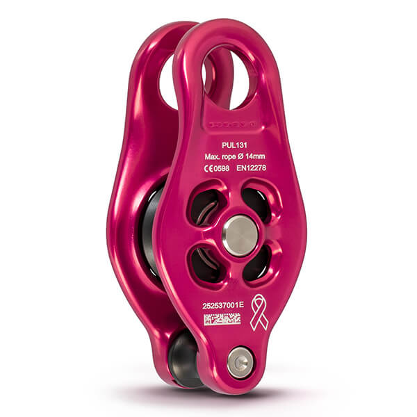 DMM Pinto-2 PINK