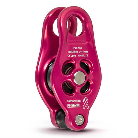 DMM Pinto-2 PINK