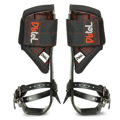 Distel Carbon 3.1 Classic TREE